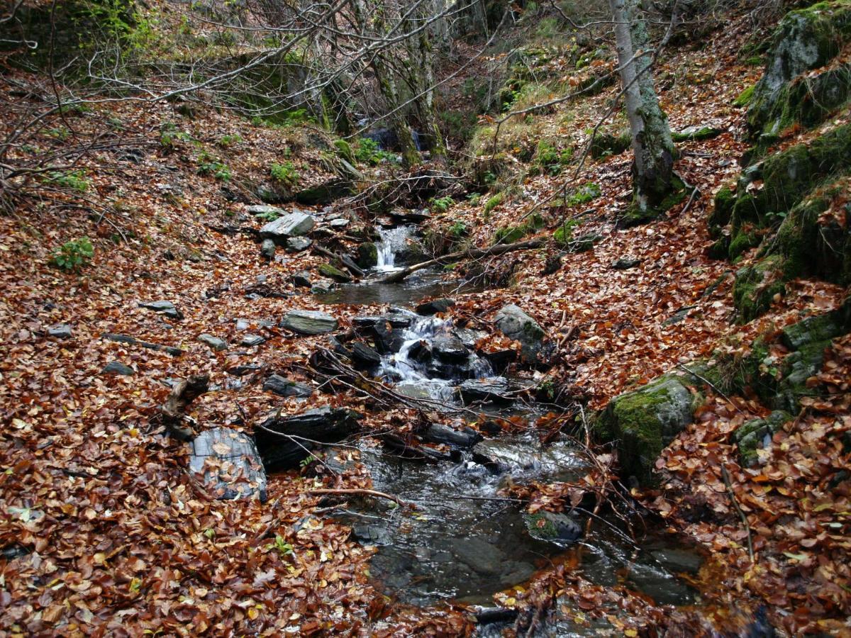Pradena del RinconEl Huerto De Leon别墅 外观 照片