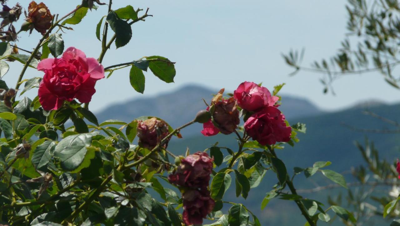 Pradena del RinconEl Huerto De Leon别墅 外观 照片