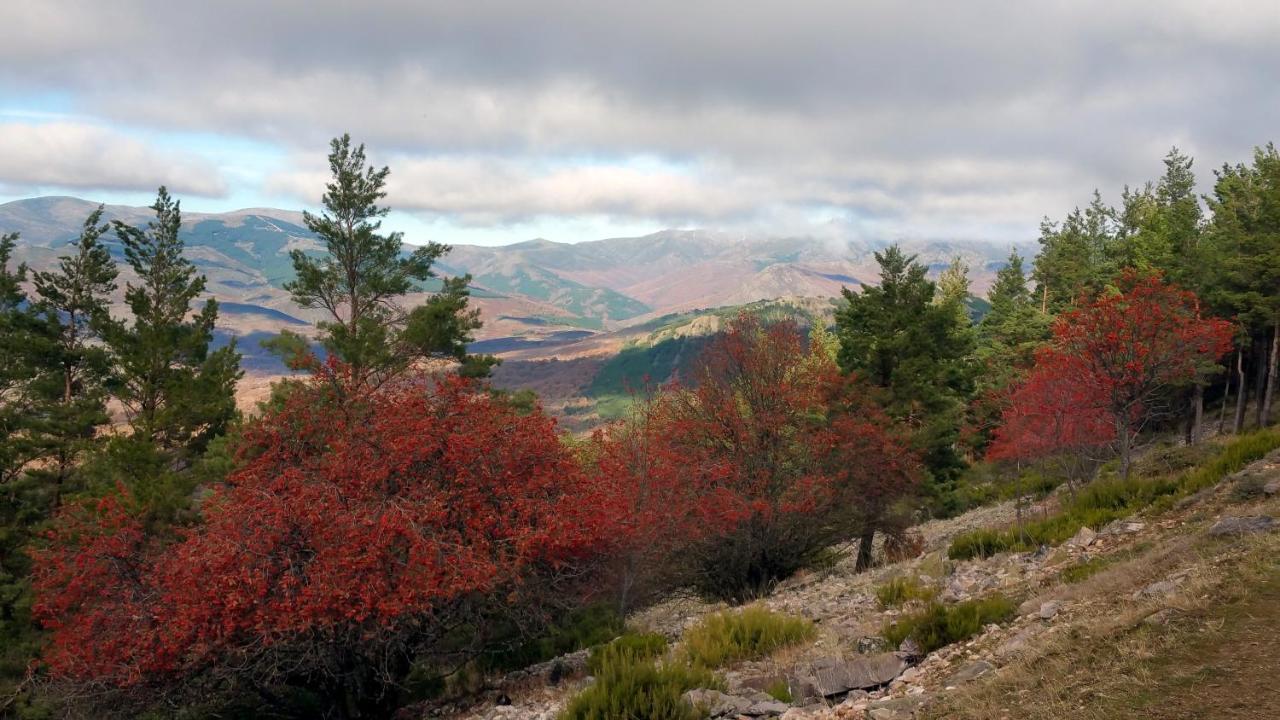 Pradena del RinconEl Huerto De Leon别墅 外观 照片